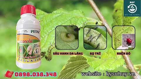 3.6EC CON ỐC – VŨ KHÍ MẠNH MẼ DIỆT NHỆN ĐỎ, AN TOÀN CHO NHÀ NÔNG - 0898.038.348 #36ecconoc