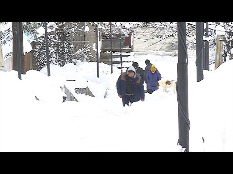 დიდთოვლობა აჭარის მაღალმთიანეთში