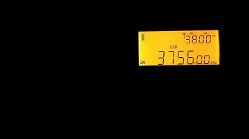 Tecsun PL-330 The Pip 3756khz