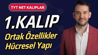 1 Tyt Biyoloji Net Kalıplar L Ortak Özellikler L Hücresel Yapı