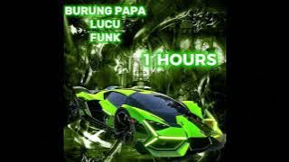 MONTEGEM BURUNG PAPA LUCU SEKALI (HOURS 1)