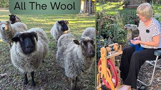 Washing WOOL at home using a Strucket. Carding wool at the mill and a farm visit/puppy update.