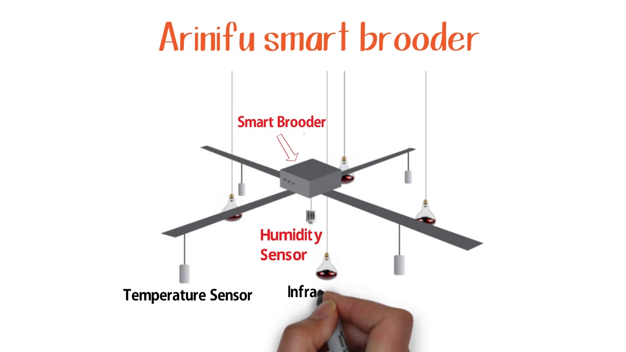 Smart Brooder Explainer - YouTube