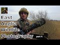 East Anglia Wildlife Photography part 4