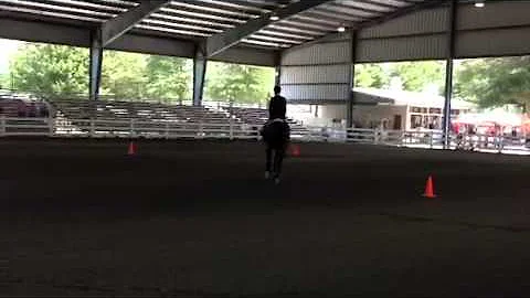 JDG Only Imagine - Equitation