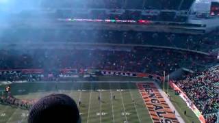 Browns Bengals 2010