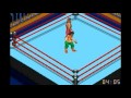 Sabu vs Hayabusa