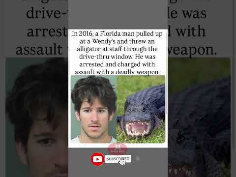 🐊🚗 Florida Man THROWS Alligator Through Wendy's Drive-Thru Window! 😳🍔#shorts