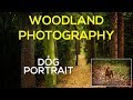 Woodland Photography and Dog Portrait