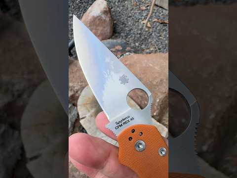 Spyderco Saturday: Paramilitary 2 Rex 45   