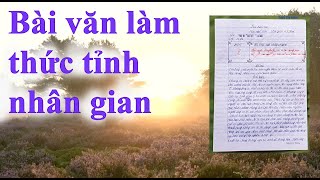 Bài văn hay làm thức tỉnh nhân gian của nam sinh bí ẩn #217