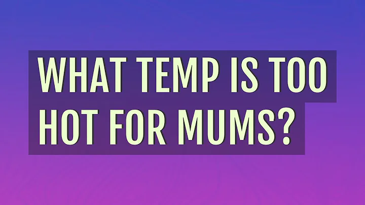 What temp is too hot for mums?