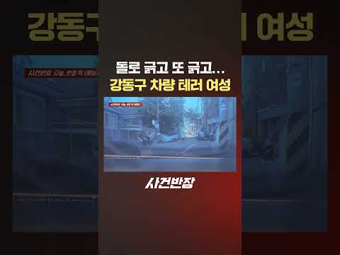 돌로 긁고 또 긁고…강동구 차량 테러 여성 #제보는 #사건반장 #shorts #자동차기스 #차량테러 #차량훼손 #사반