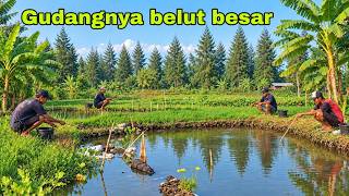 Download lagu This is the swamp where the monster eels gather