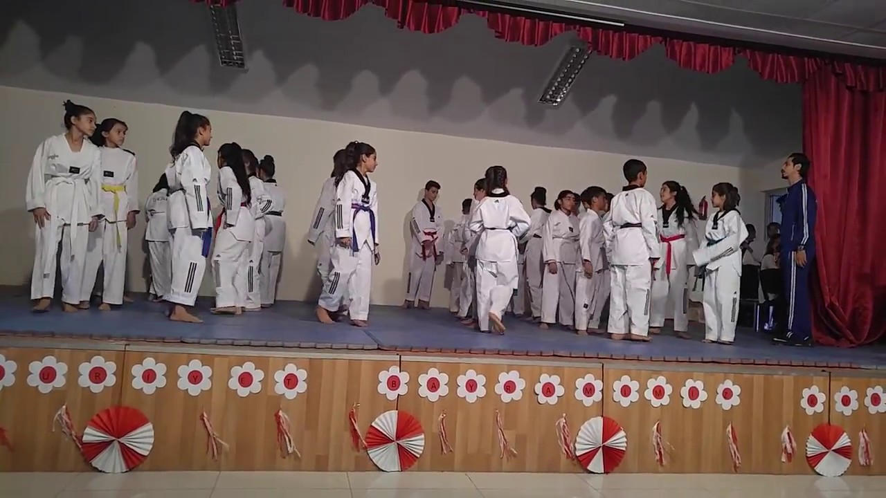 Erdal Aldemir taekwondo gösterisi 29 Ekim Yavuz Sultan Selim Ortaokulu