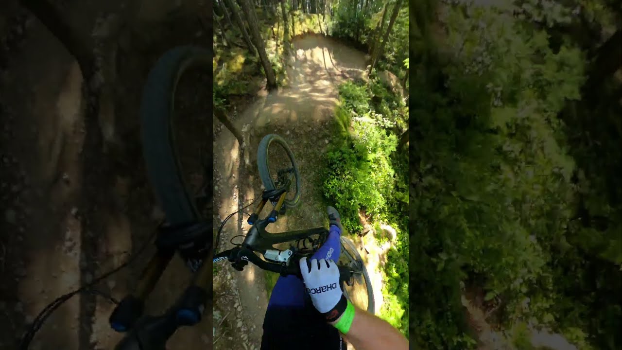Coast Gravity Park