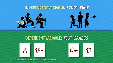 Independent Variable vs  Dependent Variable