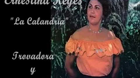 COMO DUELE UNA TRAICION   ERNESTINA REYES   'LA CA...