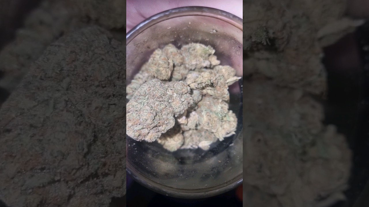 bcn smoking club rsosos