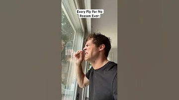 Every House Fly For No Reason Ever Shorts 