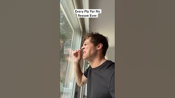 Every House Fly For No Reason Ever…🪰🤨#shorts