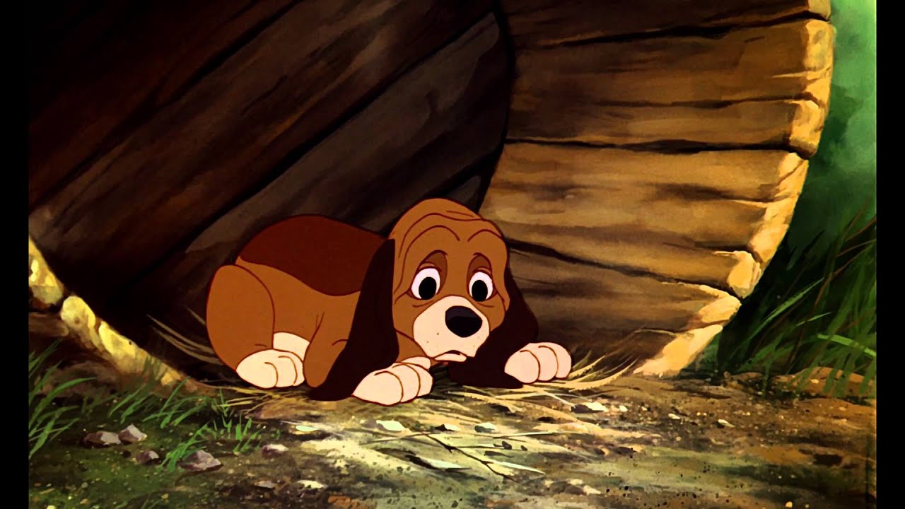 The Fox and the Hound (1981) - Best of Friends - YouTube