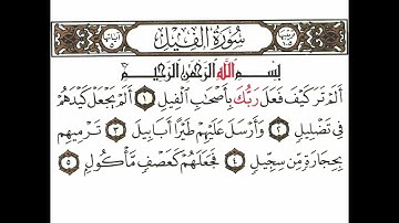 سورة الفيل تكرار كيفي من .. ألم تر كيف فعل ربك .. إلى .. فجعلهم كعصف مأكول