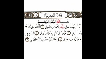 سورة الفيل تكرار كيفي من .. ألم تر كيف فعل ربك .. إلى .. فجعلهم كعصف مأكول