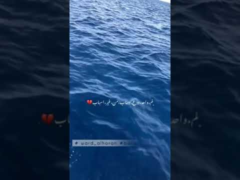 كل الي معاك في الصورة غاب داري ياقلبي