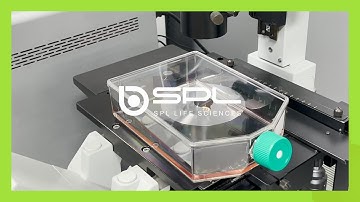 Cell Culture Flask 225T