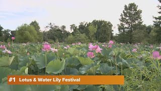 9 Things To Do this weekend