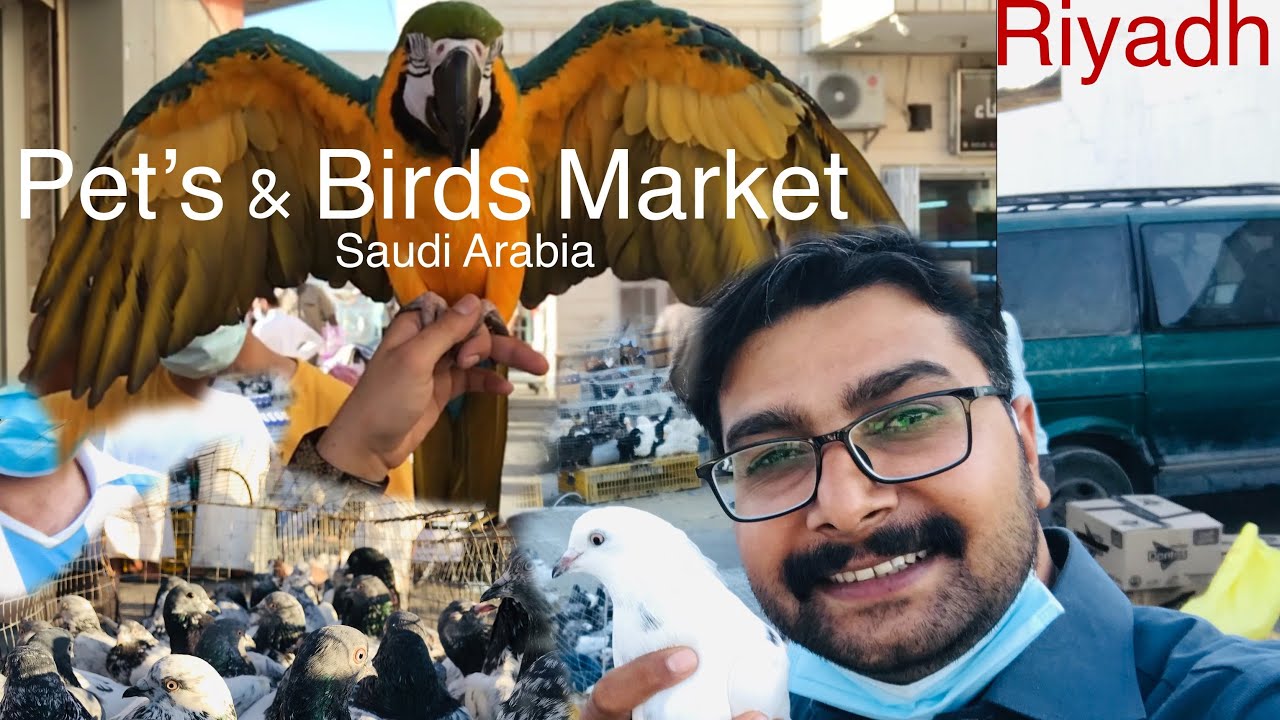 Bird's And Pet's Biggest Market Riyadh Saudi Arabia Urdu Vlog by