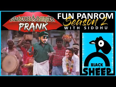 velaikaran-prank-|-fun-panrom-with-siddhu-|-black-sheep