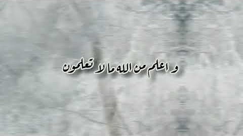 (قال إنما أشكو بثي و حزني إلى الله و أعلم من الله ما لا تعلمون*..) بصوت القارئ إسلام صبحي #دينا_قيما