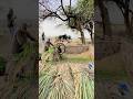 Gear system #shorts #trending #viral #foryou