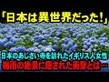【海外の反応】「日本人は雨でも花を見るの？」仕事で来日したイギリス人女性が、梅雨の鬱陶しさを感じながらも雨に濡れた絶景に感動した理由