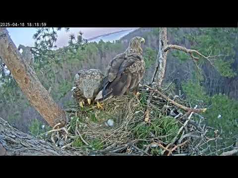 18.04.2025 Камычи. Чулман