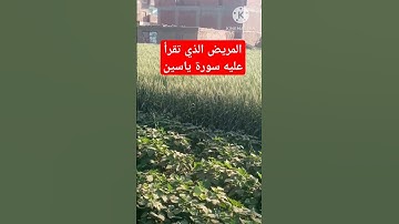 المريض الذي تقرأ عنده سورة ياسين🤲🤔🕋 استمع لحديث الشيخ محمد متولي الشعراوي في ذلك من علم وعظة