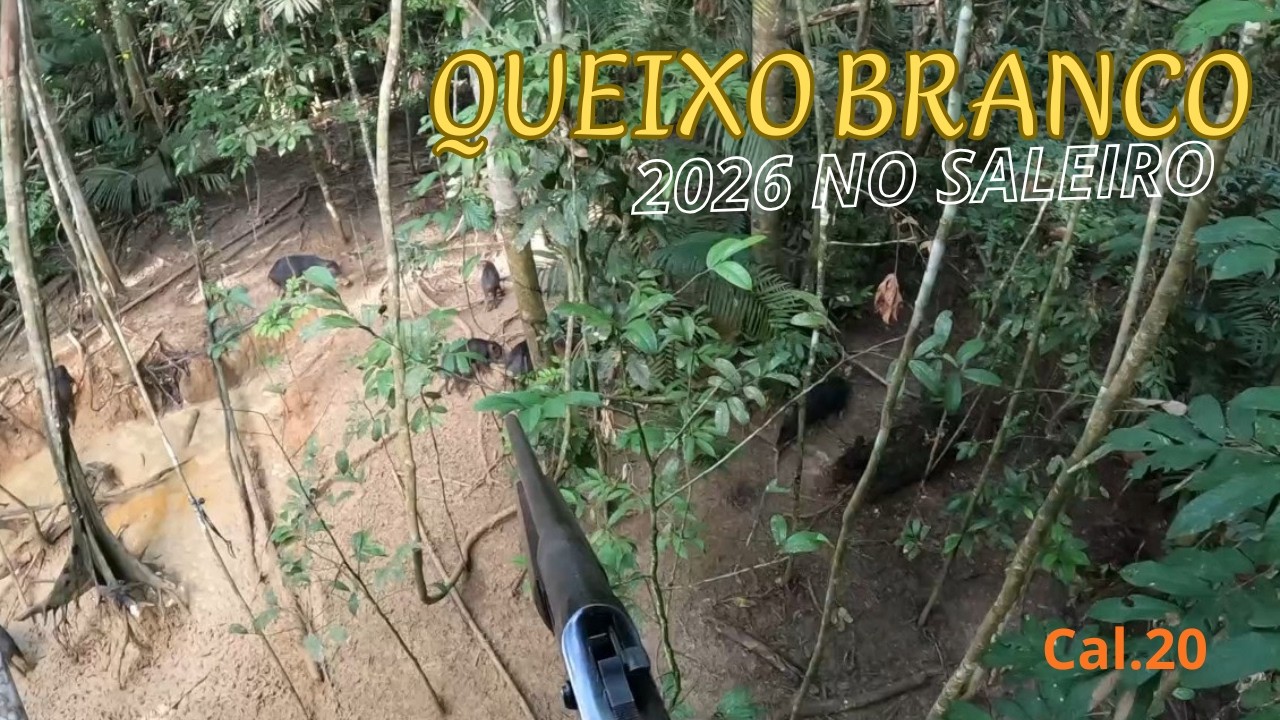 QUEIXADAS NO BARREIRO... 20NTONA!!  ELA É PROBLEMA