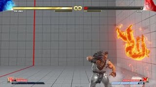 STREET FIGHTER V AKUMA cheap combo corner true block-string