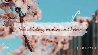 Daily Verses/ versículos bíblicos