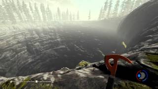 AMD Raptr test - The Forest (failing to get a tree to fall into a big hole)