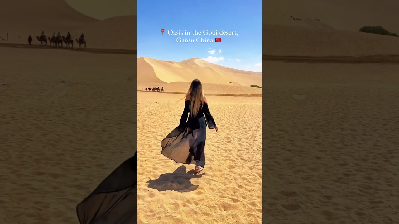 Oasis in the Gobi Desert, China 🇨🇳😳 #gansu #china #foreignerinchina #中国 #desert #chinalife