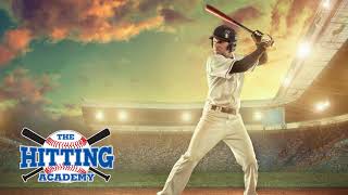 The Hitting Academy - Visual Analysis and Visual Learning screenshot 1