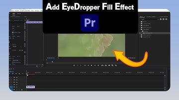 How to Add EyeDropper Fill Effect on Premiere Pro [NEW]