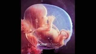 MoTrip   Intro / Ich fang am Ende an (Embryo)