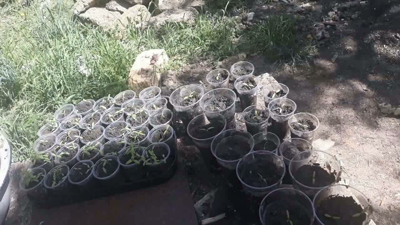 Кавасаки кле 500 чистка забитого радиатора