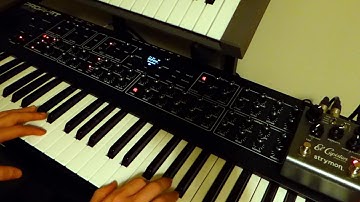 DSI Prophet Rev 2 & Strymon El Capistan