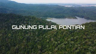 Drone View At Gunung Pulai Johor