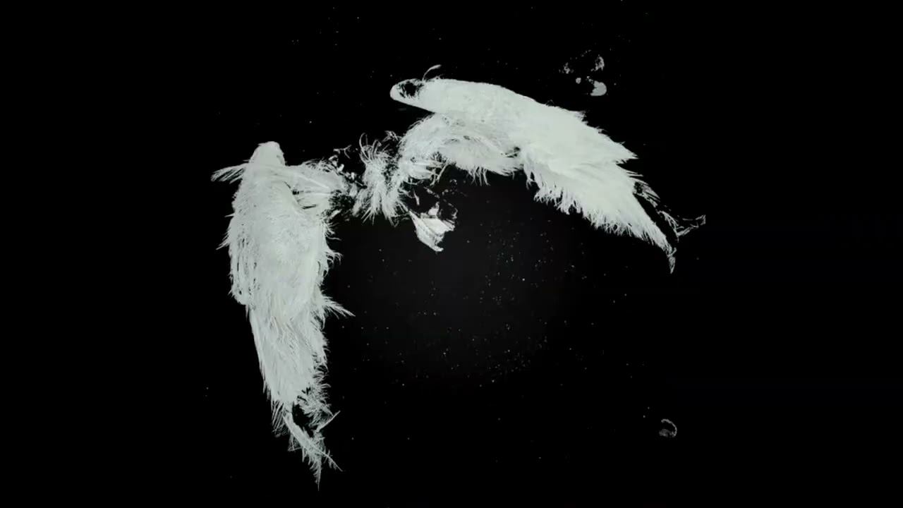 TOKYO OCCULT：Opium songs to dream to (reupload)